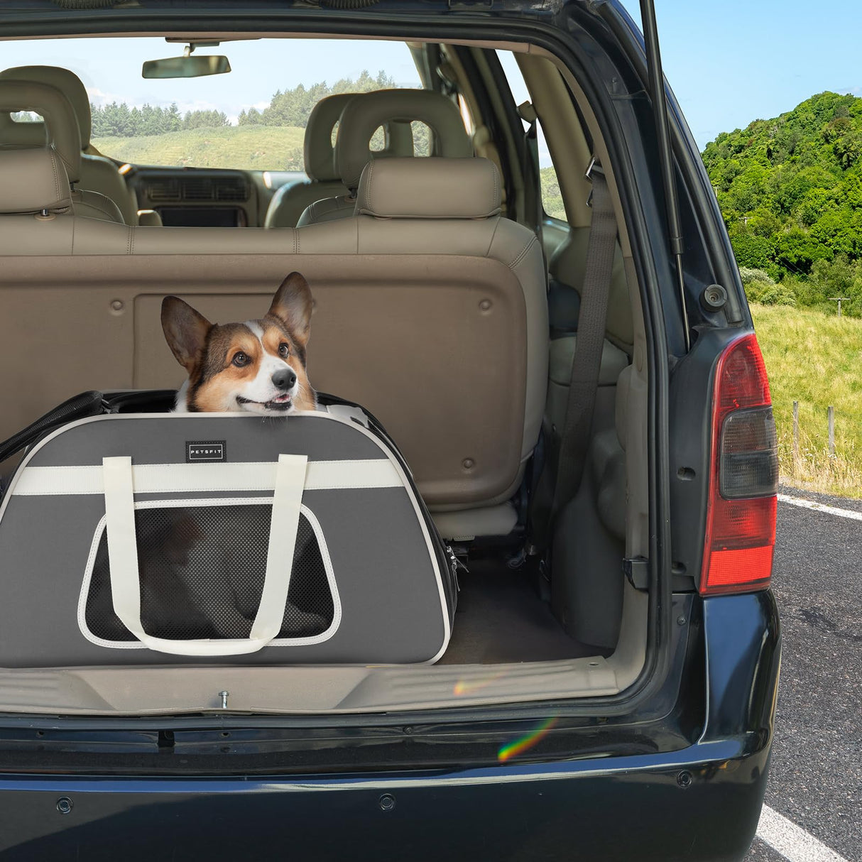 PETSFIT Large Pet Carrier with Wheels Designed for 2 Small Dogs/Multiple Kittens/Medium Dogs with Adjustable Safety Rope & Waterproof Bottom(𝑵𝒐𝒕 𝒂𝒊𝒓𝒍𝒊𝒏𝒆 𝒂𝒑𝒑𝒓𝒐𝒗𝒆𝒅)