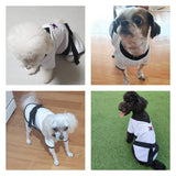 Youthdog Athletic Costume with Black Belt Uniform for Dogs Clothes Fullover Sweater Sweatshirts for Boy and Girl Dog Apparel (XX-Large)