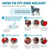 Outward Hound Dawson Swim Red Dog Life Jacket, Large