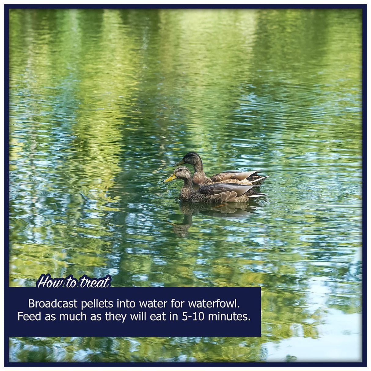 Waterfowl Feed Open Water Diet 40 lb | for Feeding Ducks Geese Swans | Floating Pellets with Niacin for Ducks