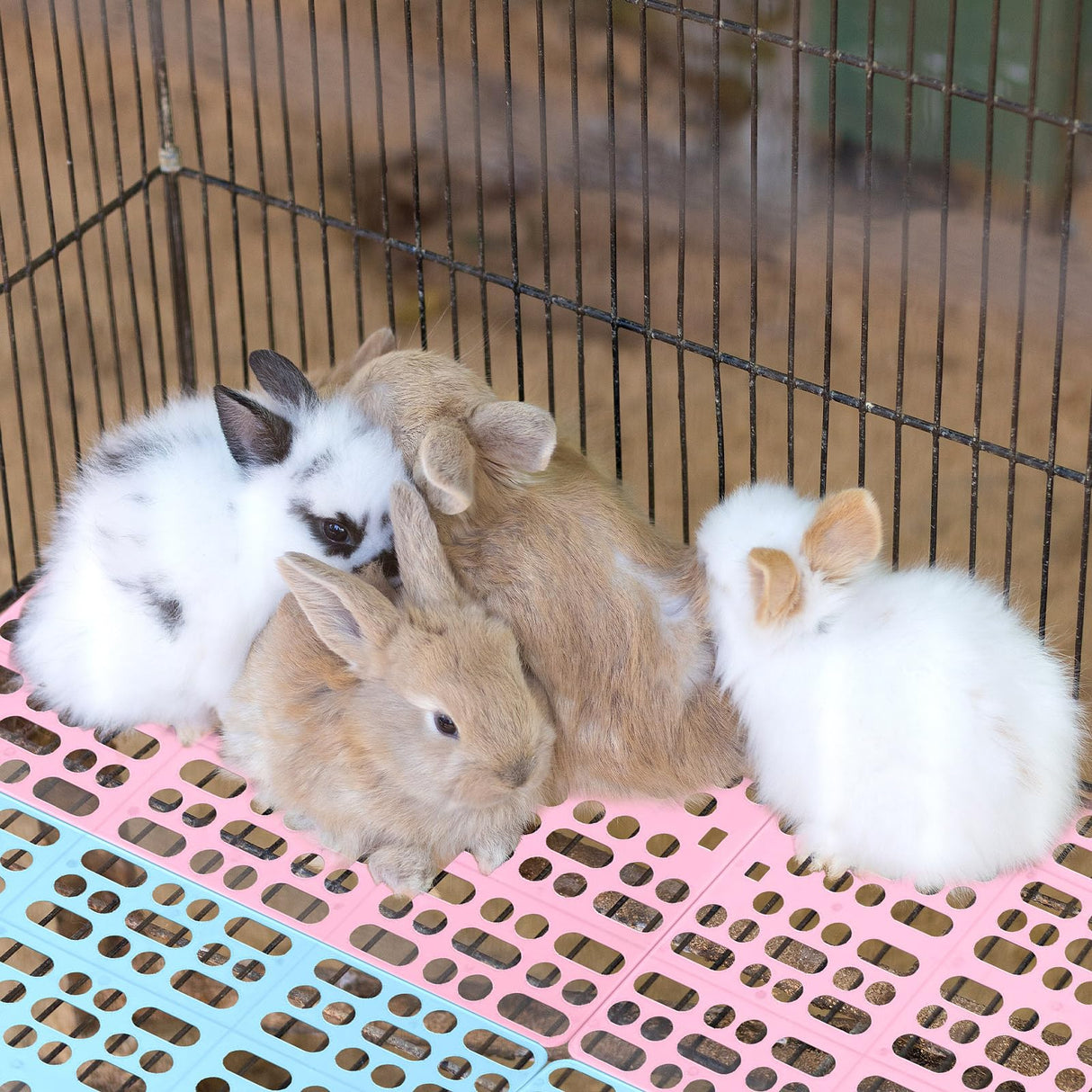 BICHENHWAI 6 Pack Pet Cage Mats 13.3"x9.8" Plastic Leak-Proof Floor Pads with Buckle (Blue/Pink/White) for Rabbits, Guinea Pigs Small Animals