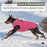 SAWMONG Dog Coat, Warm Dog Winter Coat, Waterproof Fleece Jacket, Cold Weather Dogs Jacket (M,Rosered)