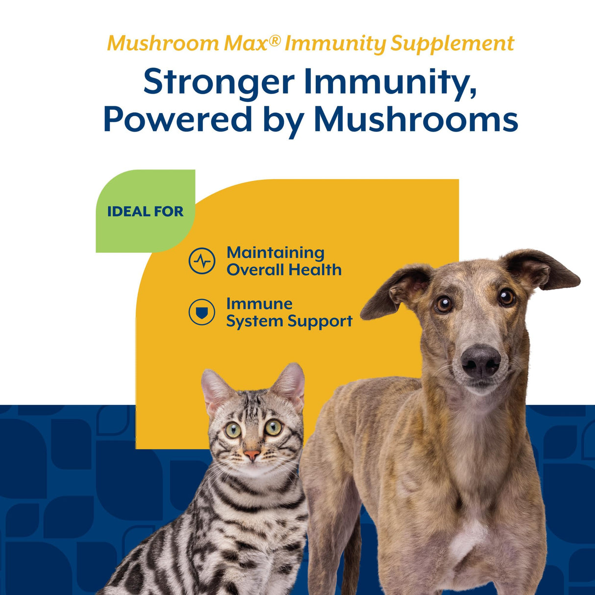 NaturVet Mushroom Max Advanced Immune Support Dog Supplement – Helps Strengthen Immunity, Overall Health for Dogs – Includes Shitake Mushrooms, Reishi, Turkey Tail – 120 Ct.