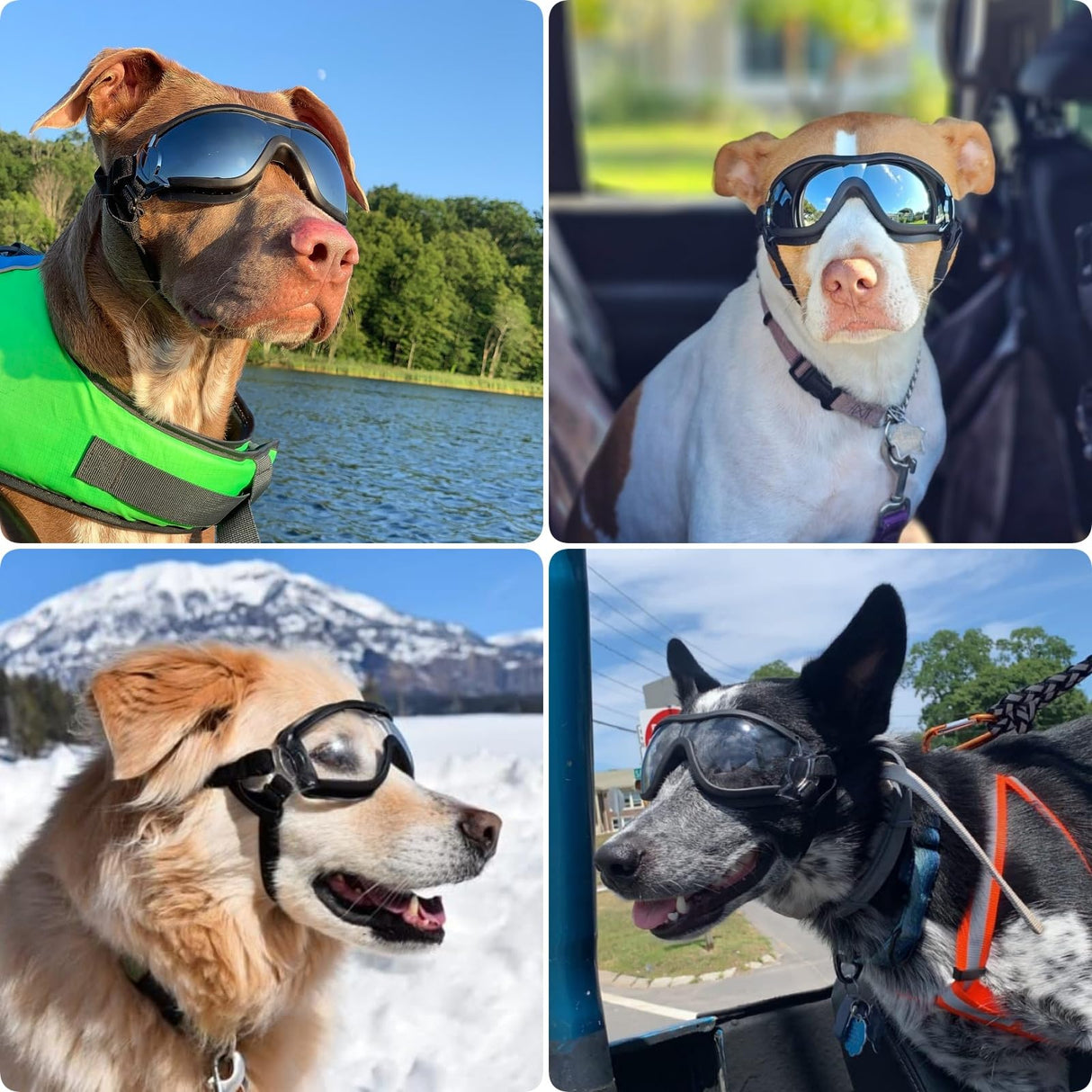 PETLESO Dog Goggles Sunglasses for Large Breeds - 2PCS Black & Clear UV Protection Set, Windproof Eye Wear for Medium to Large Dogs, Ideal for Riding/Driving/Hiking