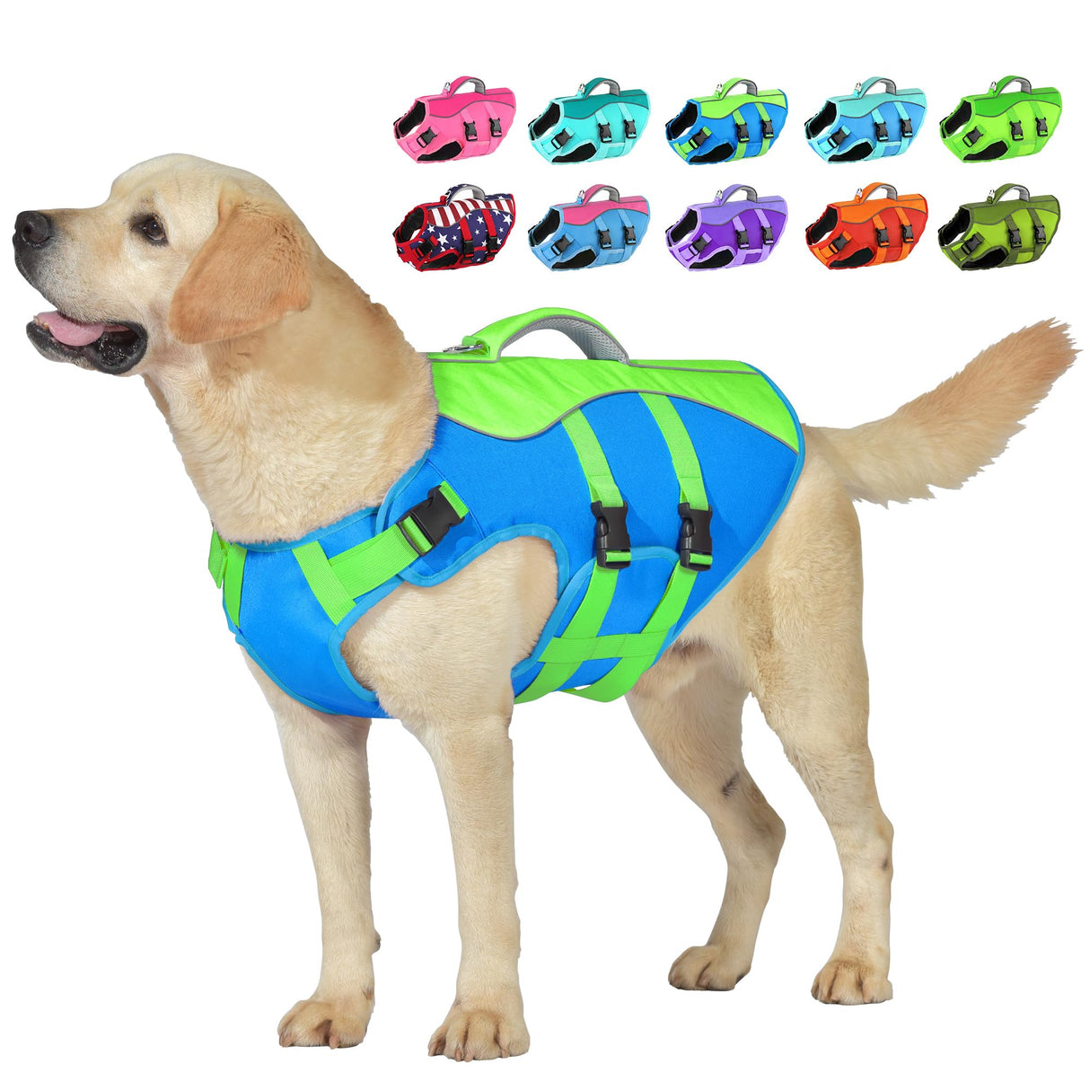 Dog Life Jacket, High Buoyancy Dog Life Vest with Handle for Swimming Boating, Adjustable Swimming Vest with Reflective Trim for Small Medium Large Dogs - Blue & Green, M