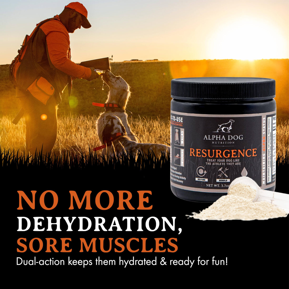 Resurgence Dog Electrolytes by Alpha Dog Nutrition | Promote Dog Hydration, Increase Stamina, and Boost Recovery | Electrolyte Water Additive or Food Topper to Prevent Dehydration with Beef Flavoring
