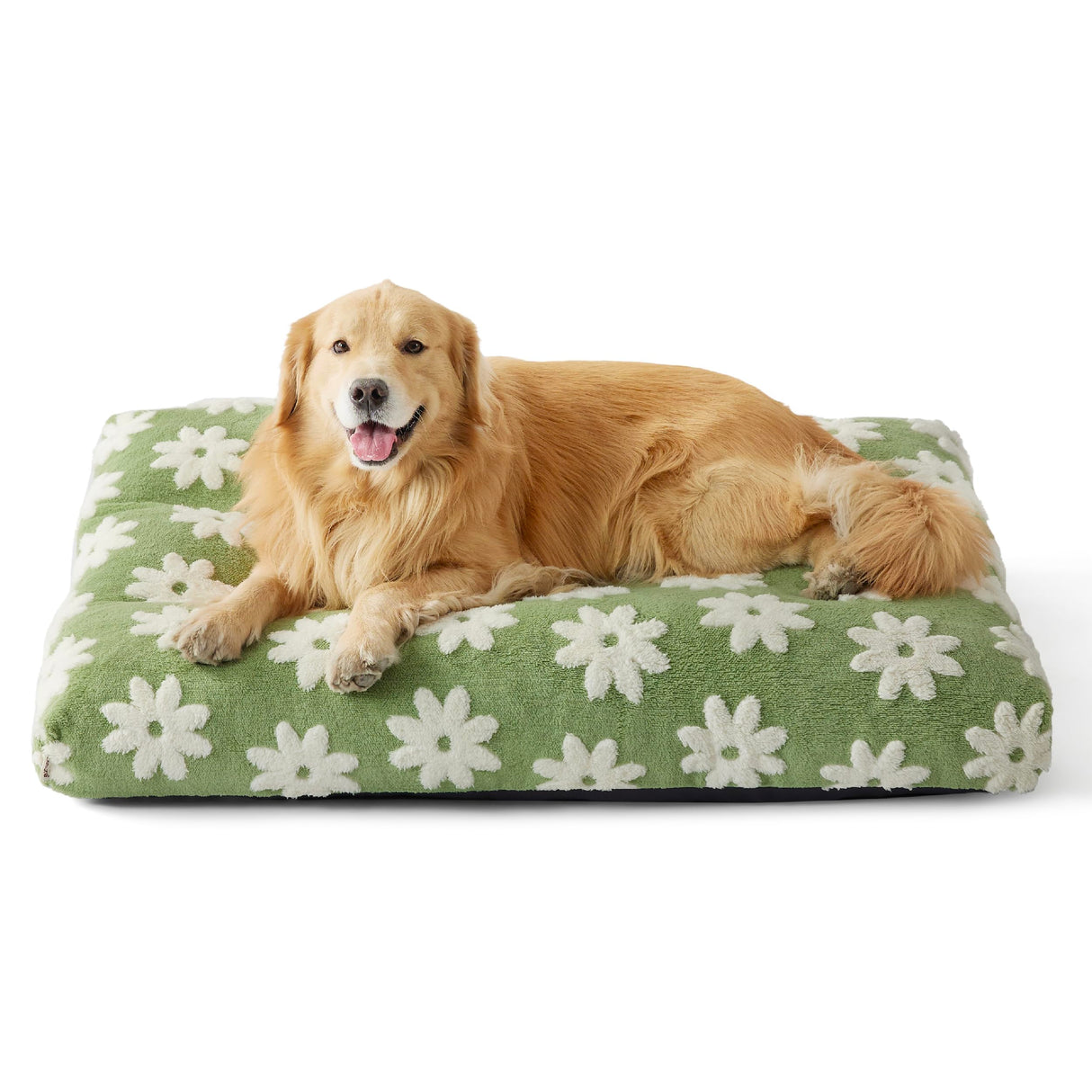 LE SURE Extra Large Dog Bed-Thick Shredded Chopped Foam Pet Bed Indoor with Removable Cover, Cute Modern Fuzzy Plush & Anti Slip Bottom, Green