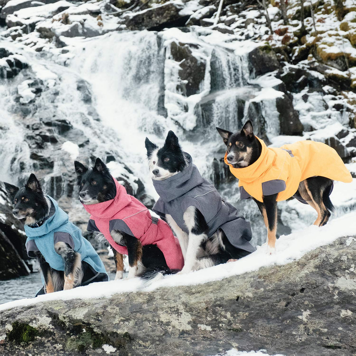 Hurtta Expedition Parka, Winter Dog Coat, BlackBerry, 18 in