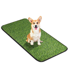 Load image into Gallery viewer, Artificial Grass Mat, Dog Grass Pee Pads, Fake Grass Pad for Pets Potty Training, Soft Grass Rug, Grass Doormat with Drainage Holes, Pet Turf for Indoor Outdoor Use, Washable(15.7''*31.5'')
