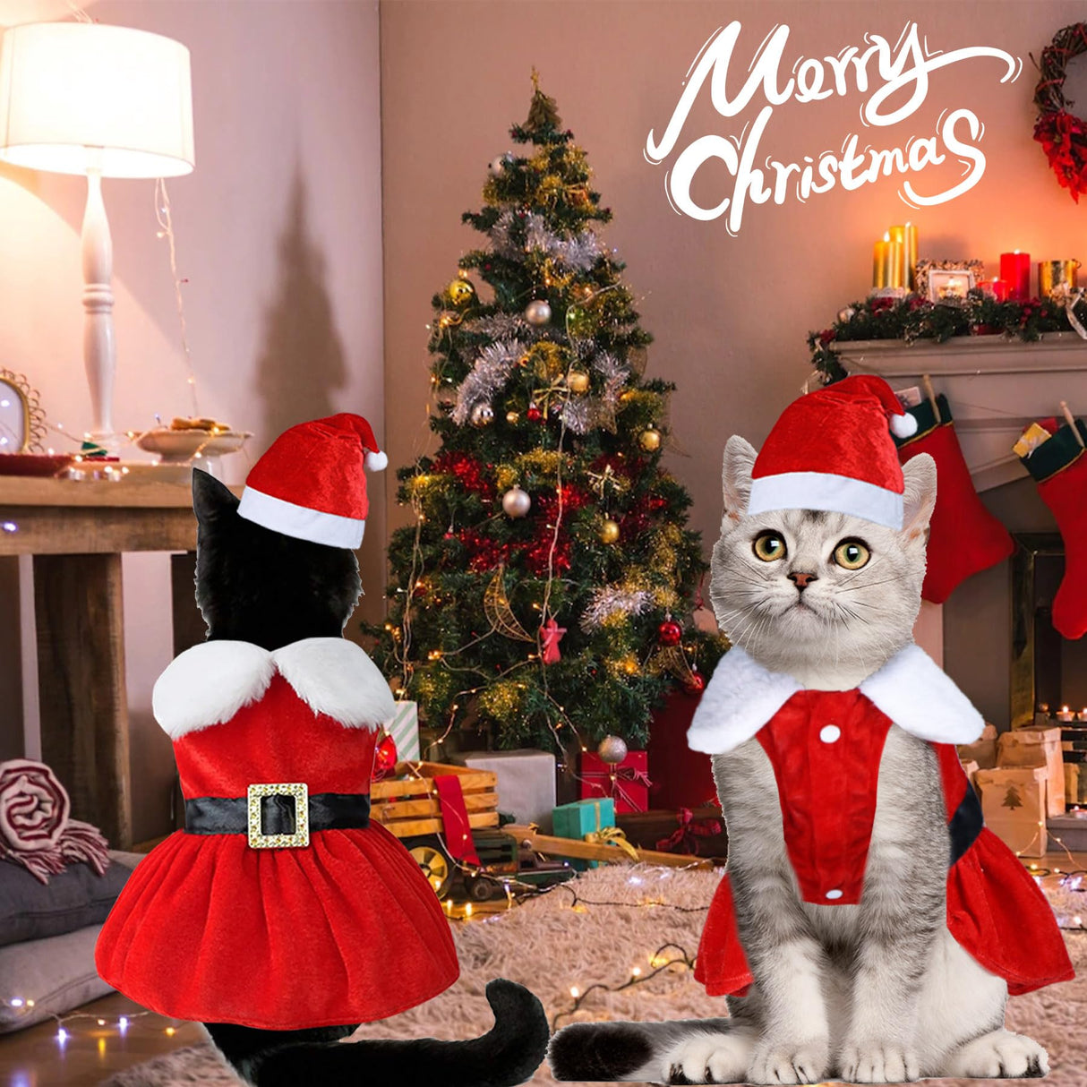 GOYOSWA Cat Kitten Christmas Outfit Cat Christmas Dress Santa Costume Clothes Dog Holiday Outfit Pet Santa Hat Dresses for Kittens Cats Puppy (Dress & Hat, Small)