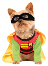DC Comics Teen Titans Pet Costume, X-Large, Robin (Pack of 2)