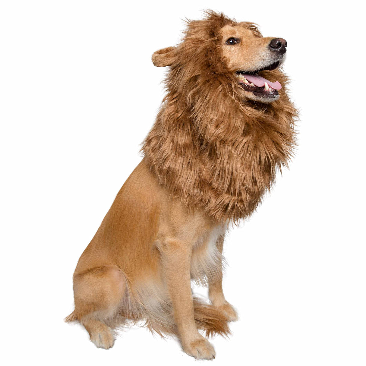 Pet Krewe Lion Mane for Dog -Fits Neck Size 13" - 32"-Lion Mane Dog Costume by Pet Krewe