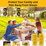 2 PCS Wasp Traps Outdoor Hanging Wasp Repellent Indoor/Outdoor Bee Traps Catcher, Effective Insect Trap,Yellow Jacket Trap Bee Killer, Flying Catcher, Gnat, Mosquito,Bee, Wasp Flying Insect Killer