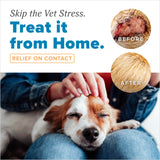 TropiClean HomeVet Medicated Cream, Hot Spot Treatment for Dogs, Fast Itch Relief, with Vet Strength Chlorhexidine & Hydrocortisone, USA Made, 1 oz