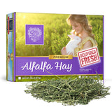 Small Pet Select Alfalfa Hay Pet Food for Young Rabbits, Guinea Pigs, Chinchillas, Tortoises and Other Small Animals, Easy to Store Box, 5 LB