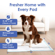 Load image into Gallery viewer, American Kennel Club Scented Puppy Training Pads with Ultra Absorbent Quick Dry Gel – 28 x 30 Pee Pads for Dogs - Fresh Scented - 50 Count, XL
