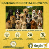 Happy Jack Cod Liver Fish Oil for Dogs Skin and Coat Supplement, Brain, Eyes, Bones, Hip, Joint, Heart & Immune System Health, Energy Booster (16 oz), Omega 3 with EPA & DHA, Vitamin A & D