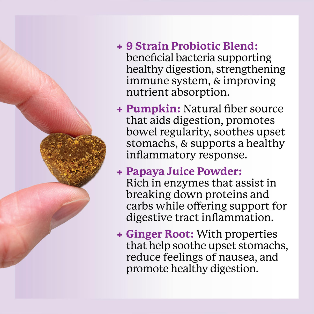 Dr. Harvey's Digestive Probiotic Soft Chews for Dogs, 9 Probiotics for Gut Health, Diarrhea and Bowel Support, Peanut Butter Flavor (90 Chews)