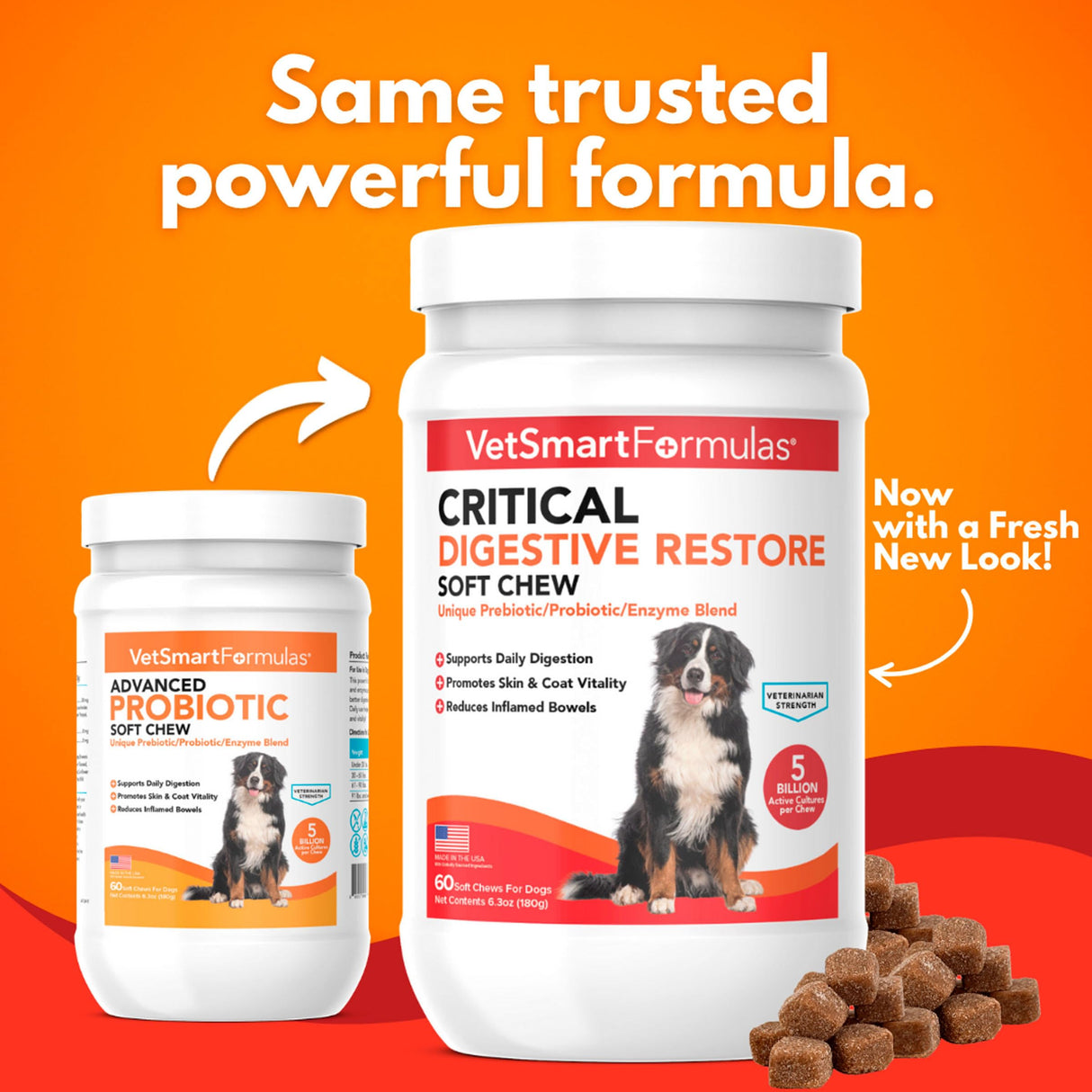 Critical Digestive Restore Soft Chews for Dogs - Veterinarian-Strength Probiotic Support for Optimal Health – with 10 Billion CFUs Per Dose