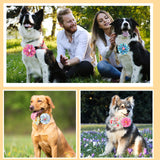 Sweetude 100 Pcs Spring Dog Collar Flowers Bulk Dog Bow Ties Bulk Pet Flower Charms Holiday Puppy Bow Ties Grooming Accessories for Small Medium Large Dogs and Cats(Flower Style)