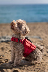 NOAH & PAW Dog Life Jacket, Human Standards Lifejacket Design, Dog Life Vest for Swimming and Boating, 3X Foam Support for Max Floating, Breathable Mesh, Salvavidas para Perros, Size XS