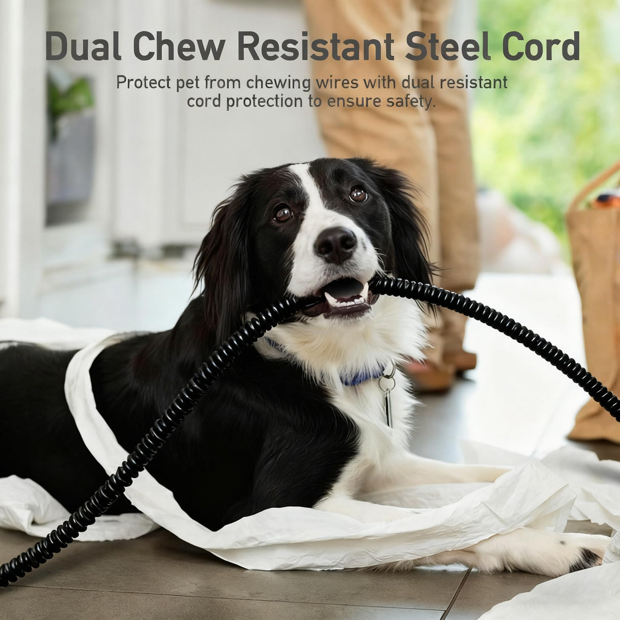 MARUNDA Pet Heating Pad,Cat Dog Electric Pet Heating Pad Indoor Waterproof,Auto Constant Temperature, Chew Resistant Steel Cord (Blue, M-16" x 20")