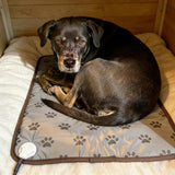QUASILOVE Puppy Heating Pad for Whelping New Born Dog Heated Bed,Heated Puppies Bed,Pet Heated Cat Bed,4 Auto Shut Off Timer,9 Level Heater Large 34x21 in