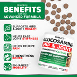 Glucosamine for Dogs - 240 Chews - Hip and Joint Supplement for Dogs - Advanced Glucosamine Chondroitin Treats with MSM - Joint Pain Relief - Large & Small Breed - Mobility Support - Made in USA