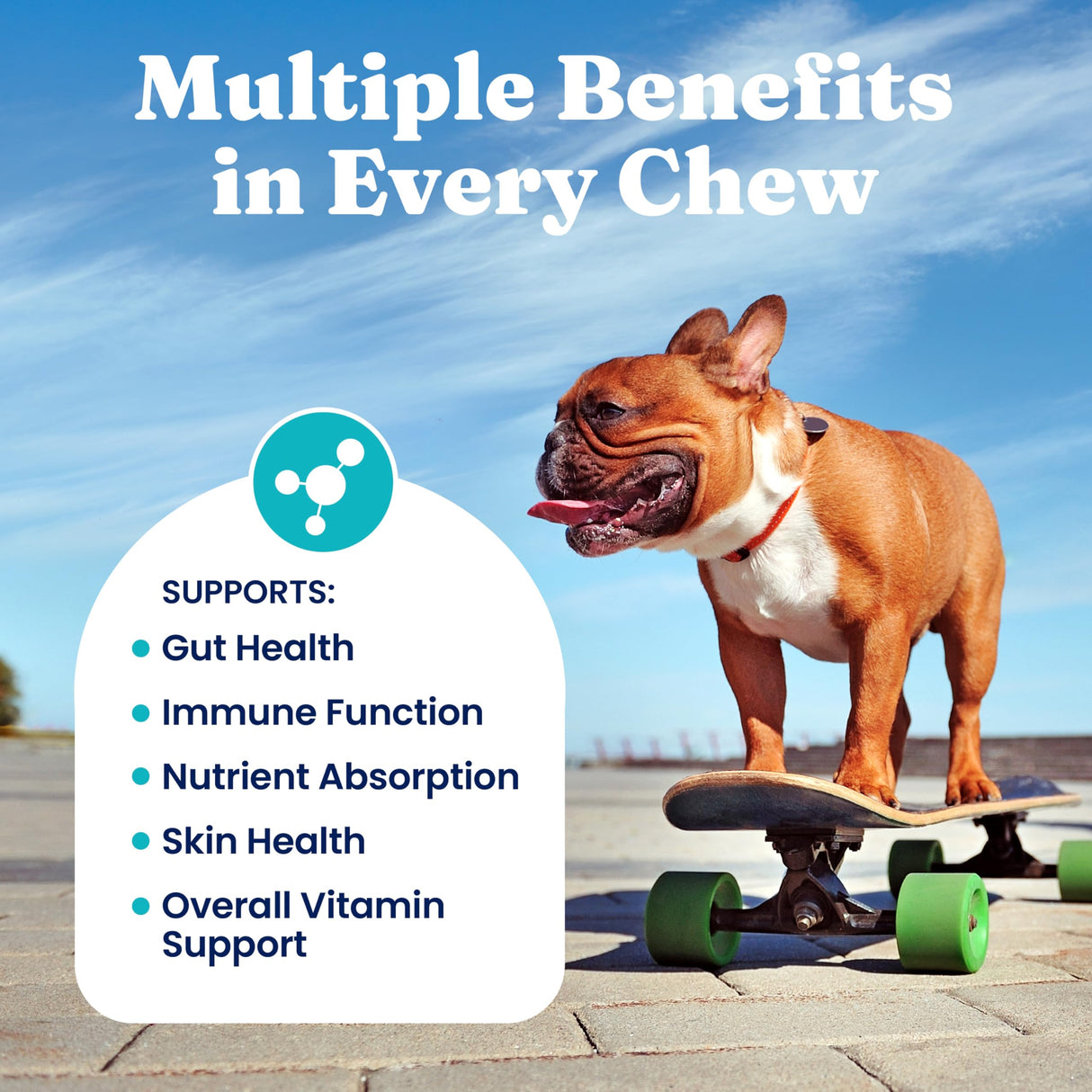 Solid Gold Dog Multivitamin - Soft Dog Vitamins & Supplements Chews - All-in-One Heart, Immune, Brain, Skin, Coat & Gut Health Support w/Vitamin C, B12, Probiotics & Antioxidants - Bacon Flavor 120ct