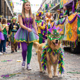 LEIFIDE 5 Pcs Mardi Gras Dog Costume Mardi Gras Pet Mask with Collar Carnival Masquerade Pet Accessories Set Golden Green Purple Puppy Dress up Feather Boa for Medium Large Dogs Outfit Decor