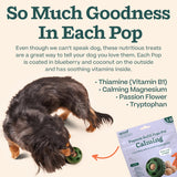 WOOF Pupsicle Refill Pops for Calming - Long-Lasting Refills for The Pupsicle Toy to Promote Calm - Calming Dog Treats - Magnesium for Dogs- Large Pops - 7 Count