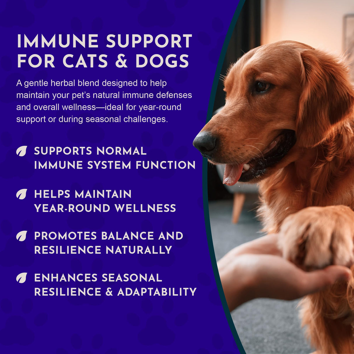 Animal Essentials Super Immune - Dog & Cat Immune Support for Puppies with Olive Leaf Extract & Echinacea, Olive Root for Dogs, Supports Respiratory Health & Overall Wellness - 2 fl oz