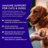 Animal Essentials Super Immune - Dog & Cat Immune Support for Puppies with Olive Leaf Extract & Echinacea, Olive Root for Dogs, Supports Respiratory Health & Overall Wellness - 2 fl oz