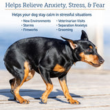 Rx Vitamins NutriCalm - Calming Care for Dogs with Valerian Root, Tryptophan, & Ashwagandha - Aids in Separation Anxiety Relief for Dogs and Stress Relief - Road Trip Essentials & Relaxant - 50ct