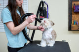 METROVAC Air Force Hands-Free High Velocity Dog Hair Dryer | Variable Speed Pet Grooming Blower with Heat and Adjustable Hose