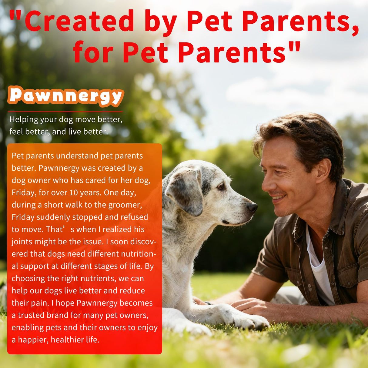 Pawnnergy Dog Allergy & Itch Relief Chews - Salmon Oil Omega-3, Omega-6, Vitamin B1/B2/B6, Colostrum Probiotics Supplement for Seasonal Allergy, Hot Spots, Paw Licking, Scratching, 100 Soft Chews