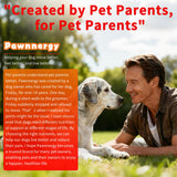 Pawnnergy Dog Allergy & Itch Relief Chews - Salmon Oil Omega-3, Omega-6, Vitamin B1/B2/B6, Colostrum Probiotics Supplement for Seasonal Allergy, Hot Spots, Paw Licking, Scratching, 100 Soft Chews