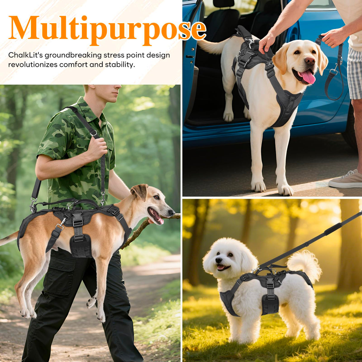 Dog Lift Harness, Dog Support & Recovery Sling for Full-Body & Hind/Front Leg – Pee-Able Design for Large/Medium Dogs – All-in-One Ideal Assistance for Senior, Disabled, Arthritic & ACL Canines (XXL)