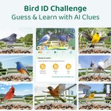 HIXX Smart Bird Feeder with Camera, AI Identify Birds & Auto Capture, 2K HD Live Camera Birdwatching with Color Night Vision for Bird Lovers Gifts (Forest Green)