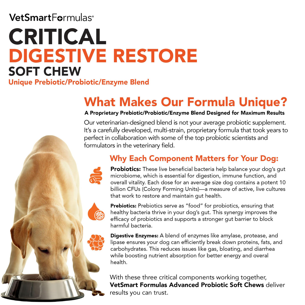 Critical Digestive Restore Soft Chews for Dogs - Veterinarian-Strength Probiotic Support for Optimal Health – with 10 Billion CFUs Per Dose