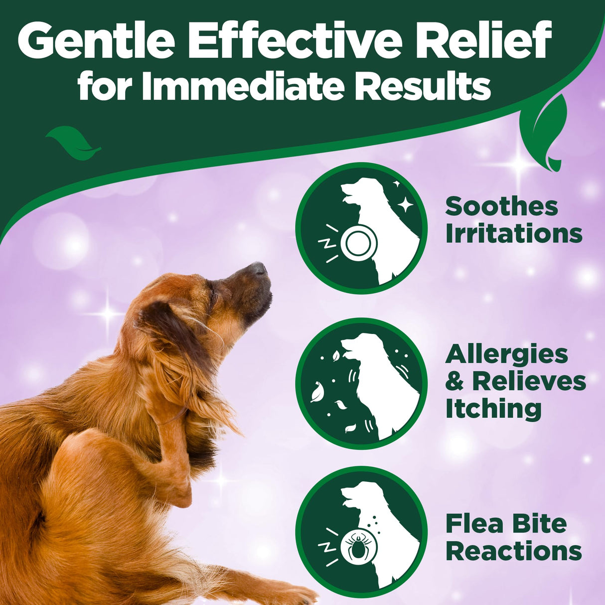 Vet's Best Allergy Itch Relief Spray for Dogs | Soothes Dog Dry Skin | Relieves The Urge to Itch, Lick, and Scratch | 8 Ounces