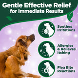 Vet's Best Allergy Itch Relief Spray for Dogs | Soothes Dog Dry Skin | Relieves The Urge to Itch, Lick, and Scratch | 8 Ounces