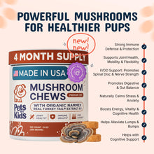 Load image into Gallery viewer, Turkey Tail Mushroom for Dogs with Organic Real Turkey Tail™ - 8:1 Extract Mushroom Chews for Lumps &amp; Bumps, Immunity, Gut, Skin, Joint &amp; Spine Support - Reishi, Lion’s Mane - 120 Soft Chews
