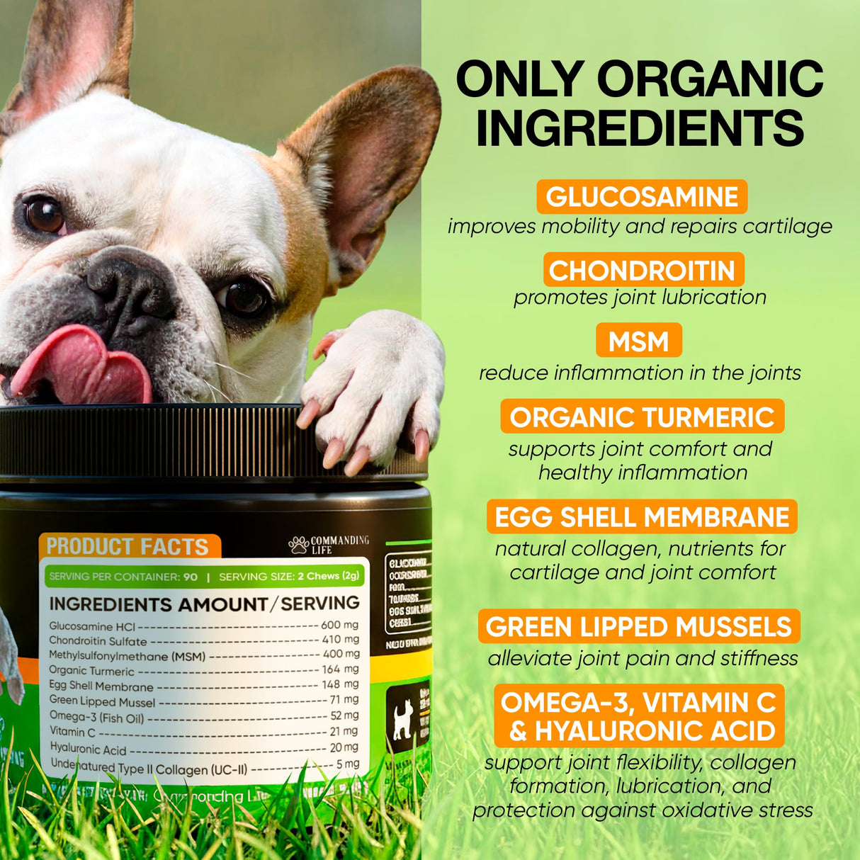 Glucosamine & Chondroitin for Dogs – Hip and Joint Supplement Chews with MSM, Vitamin C, Turmeric, Omega-3 for All Breeds – Pain & Mobility Support – 2-Month Supply – Chicken Flavor