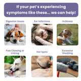Glacier Peak Holistics, The Original Pet Intolerance Test - Screen Over 395 Food and Environmental Stressors, A Hair and Saliva Kit for Cat and Dog Sensitivities (Results in 7-10 Business Days)