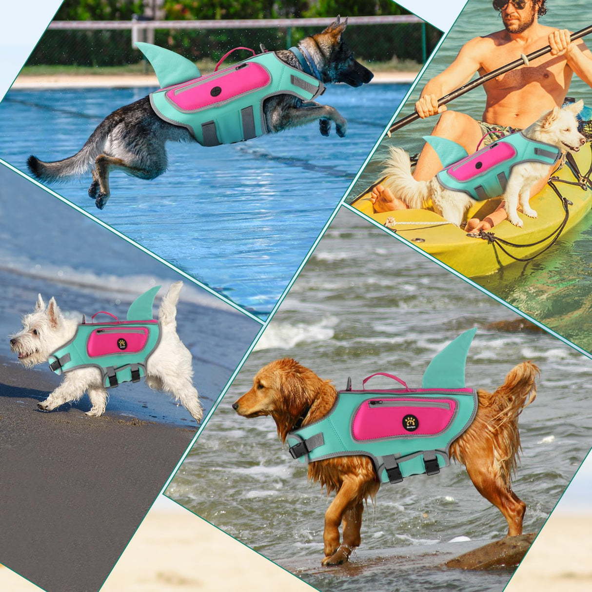 Sheripet Dog Life Jacket, High Buoyancy Shark Dog Safety Vest, Neoprene Pet Life Preserver with Good Visibility & Reflective, Puppy Swim Floating Vest with Rescue Handle for Boating (Turquoise, Small)