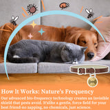 Natural Flea & Tick Repellent Collar Pendant for Dogs & Cats –12-Month Water-Resistant Biomass Energy Pet Shield – Safe for Pets When Used as Directed – Gift Ready (One Size- 2packs)