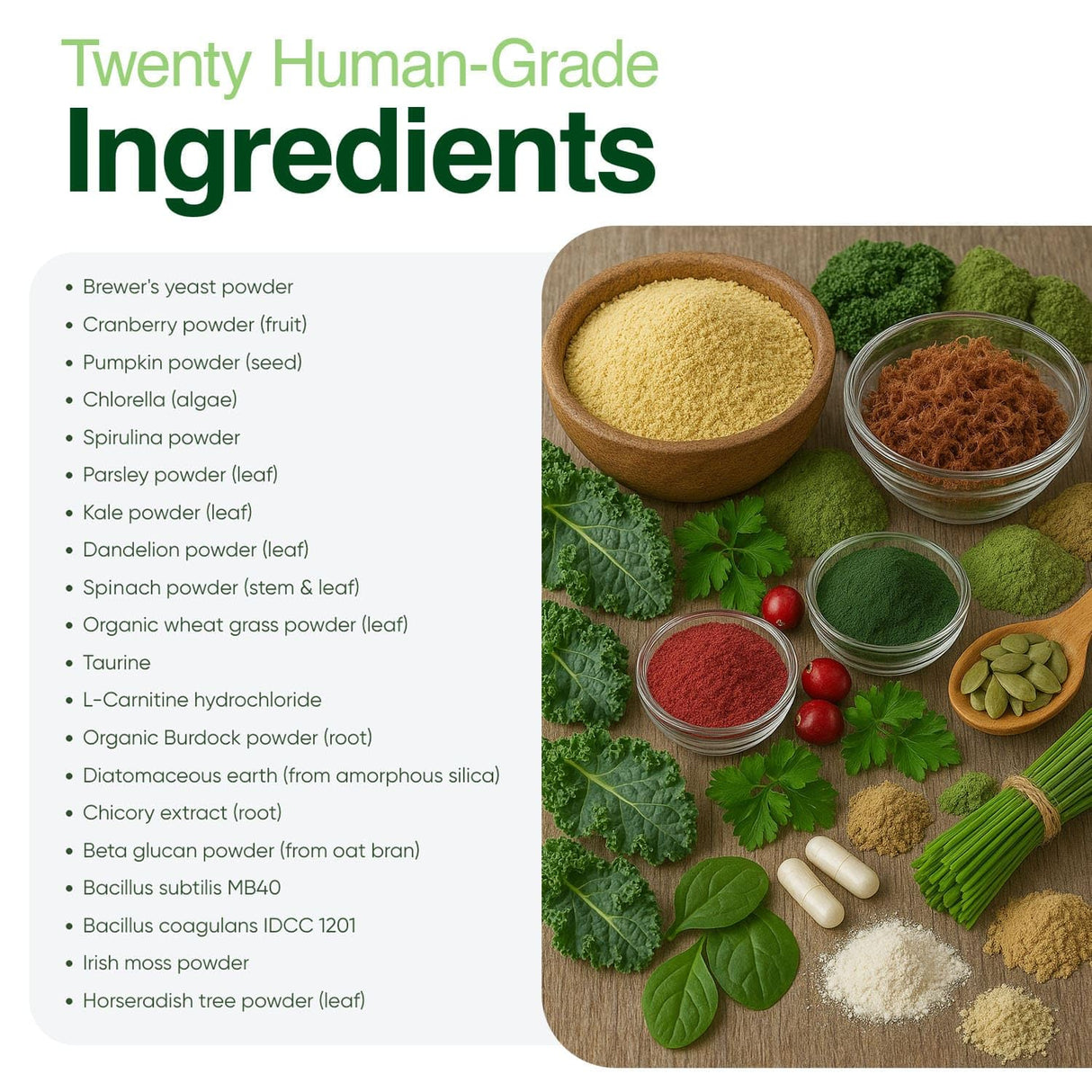 Human-Grade Superfood for Dogs, Premium Greens Powder Supplement for Dental Health, Longevity, Hip & Joint, Gut Health, Allergies, Immune Support, Skin & Coat - Peanut Butter - 3.5 oz