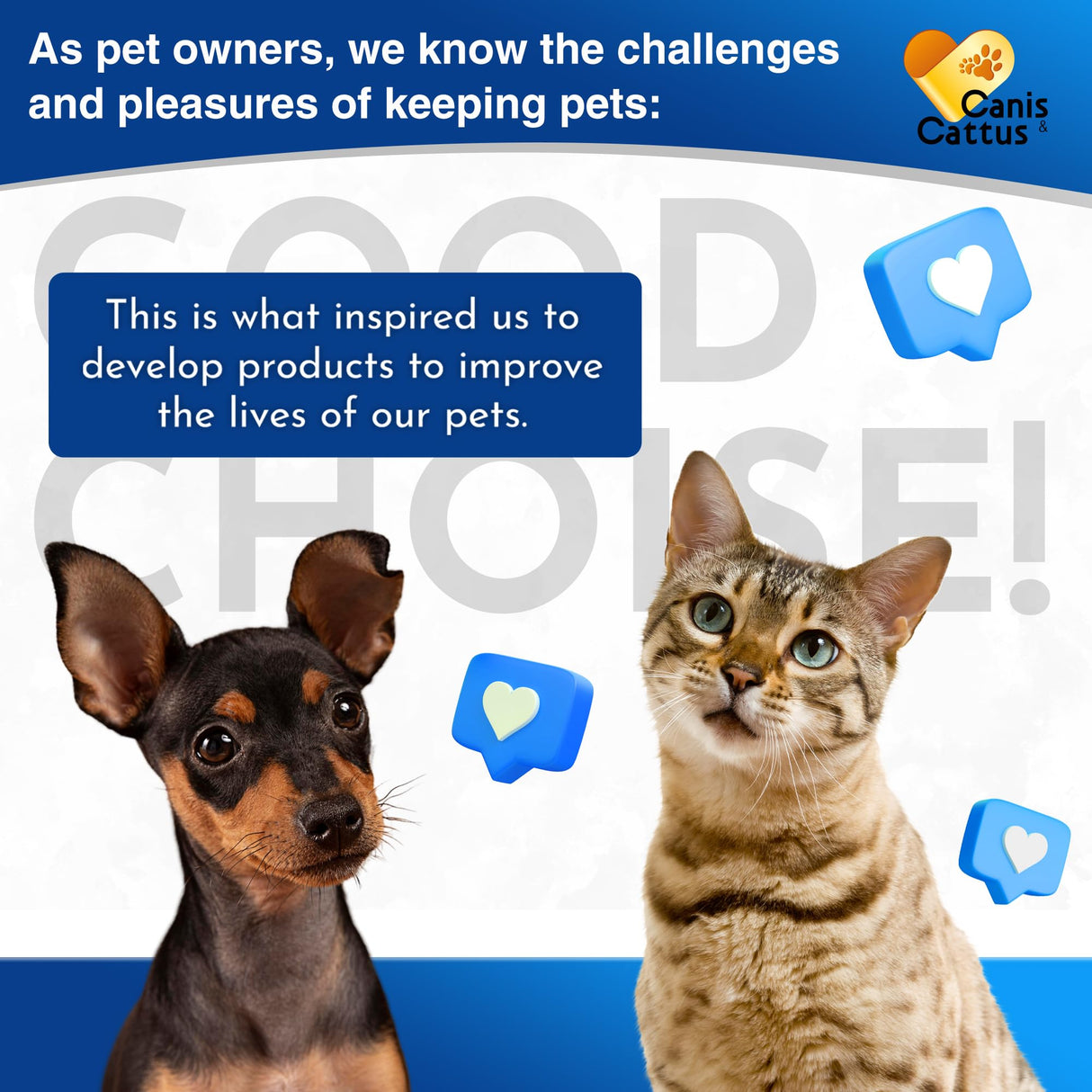 Kennel Cough Treatment for Dogs & Cats Helps with Sneezing, Throat Irritation & Allergies – Natural Dog Coughing Treatment for Breathing Support with Calendula Breeds Care – 2 oz