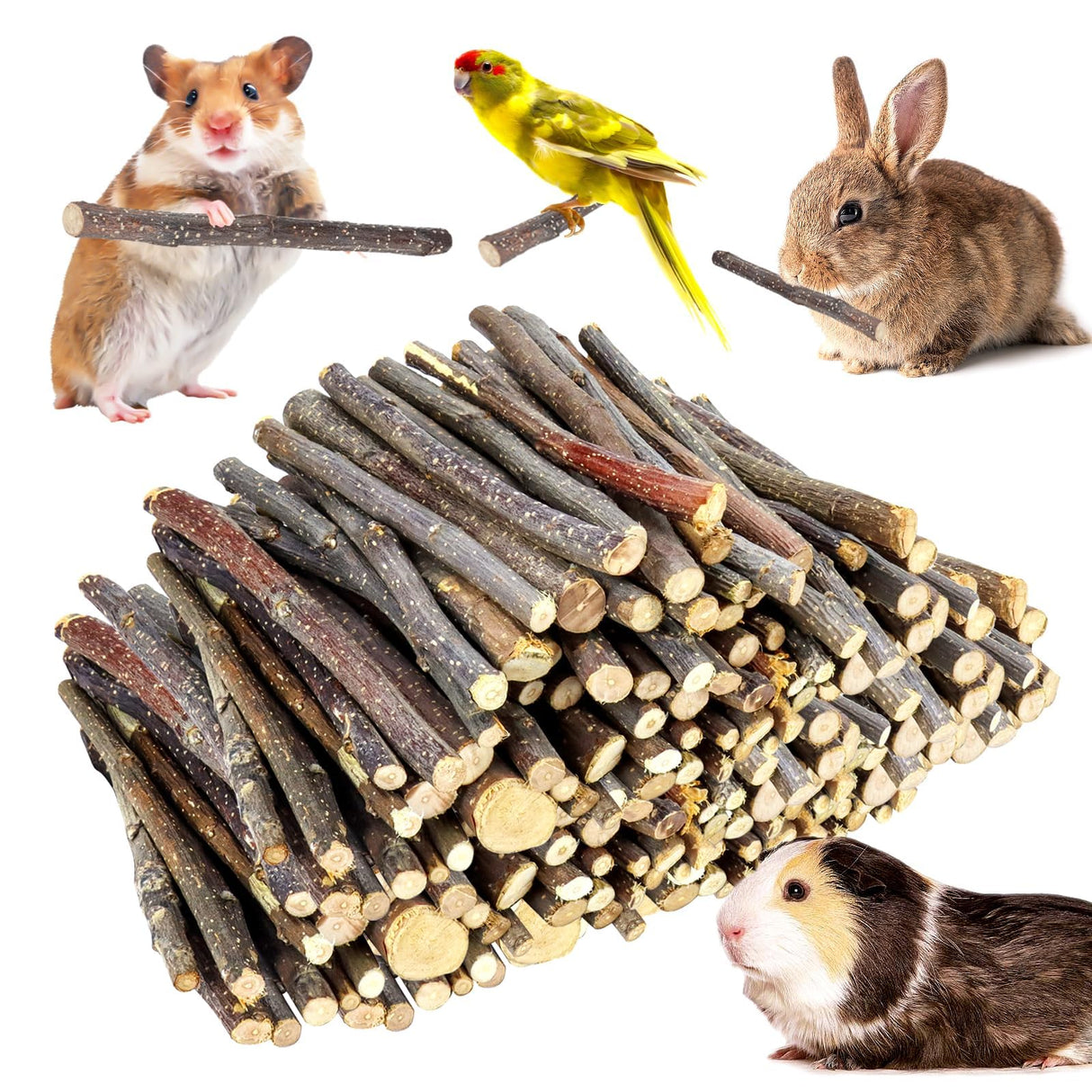WYOMER 2lb(900g) Small Apple Sticks for Rabbits, Animals Molar Wood Treats Toys for Chinchillas Guinea Pig Hamster Gerbil Parrot Bunny and Small Animals Chew Stick Toys Treats